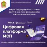 Корпорация МСП. Информация
